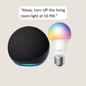 Echo Dot with TP-Link Tapo Smart Color Bulb